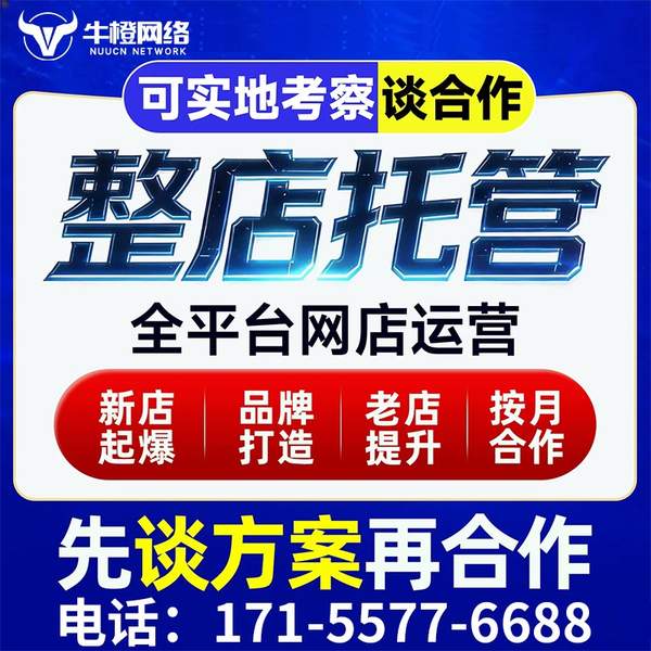 巴音郭楞电商代运营