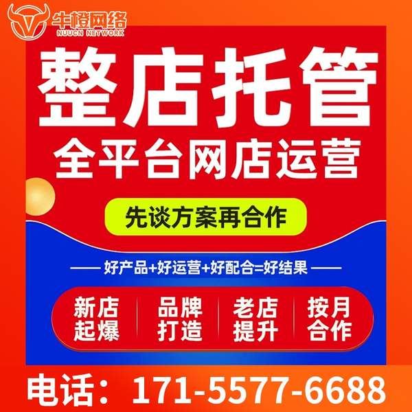 巴音郭楞电商代运营