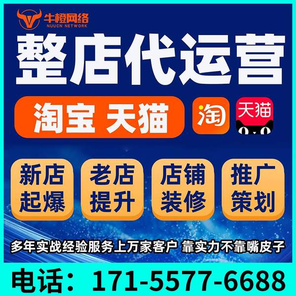 巴音郭楞电商代运营