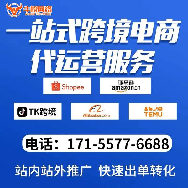 巴音郭楞电商代运营