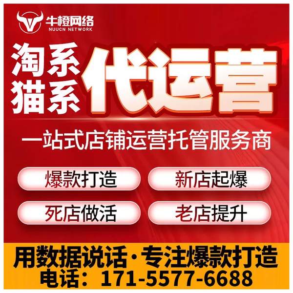 巴音郭楞电商代运营